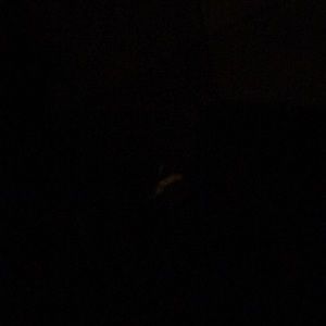 Meet your Posher, Marcus